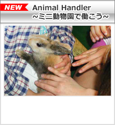 Animal Handler～ミニ動物園で働こう～